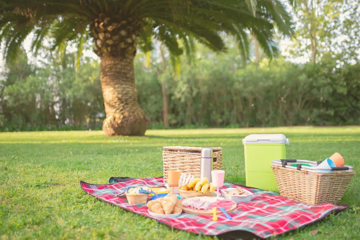 picnic set up with pre-made drinks and food in a park